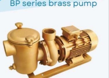 BP30 مضخات مياه حمام سباحة