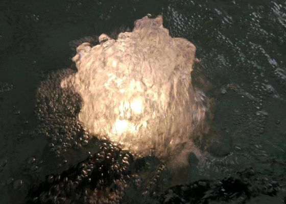 SS 80 L / M 1 بوصة نافورة راقصة رغوية مع مصباح